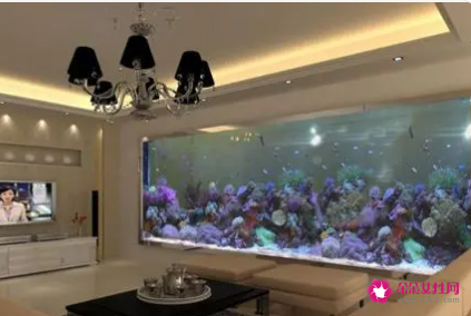 客厅金鱼缸的摆放图片欣赏