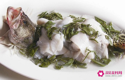 吃鲈鱼的禁忌有哪些