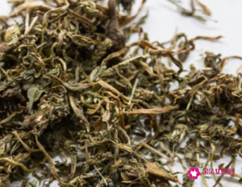 蒲公英根有什么功效和副作用