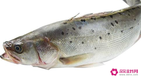 吃鲈鱼的禁忌有哪些