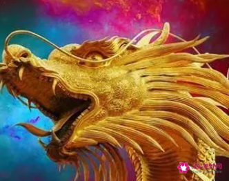 属相龙和什么属相好