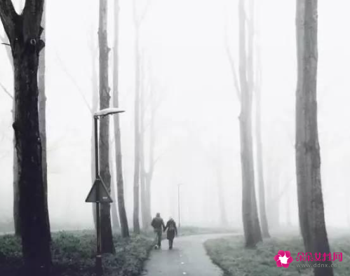 手机摄影技巧知识光线