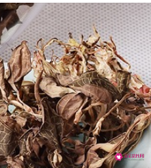 体寒湿气重的女人喝什么茶夏季喝什么茶呀