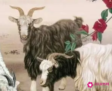 属羊人最怕的月份