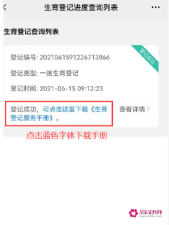 山东生育登记网上办理