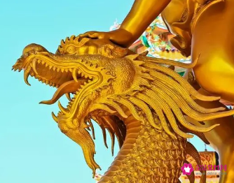 属相龙和什么属相好