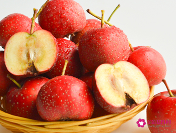 沙果和海棠果的区别