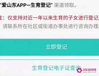 山东生育登记网上办理