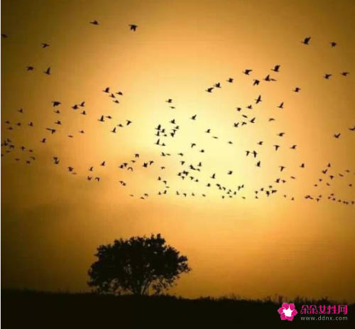 手机摄影技巧知识光线