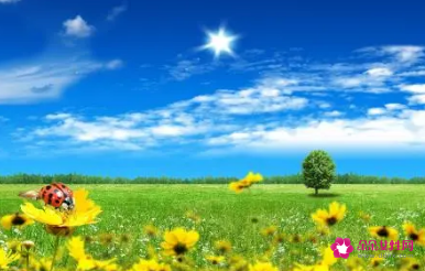 小学生安全句子