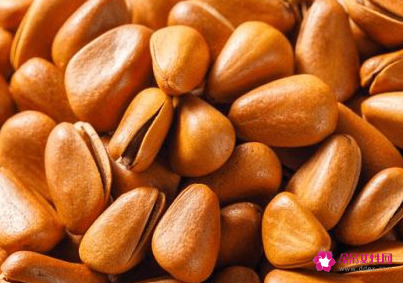 女性吃松子有什么好处