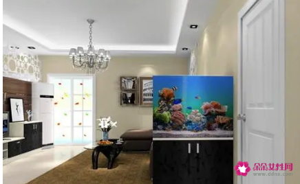 玄关鱼缸摆放风水及禁忌