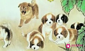 1982年属狗幸运颜色