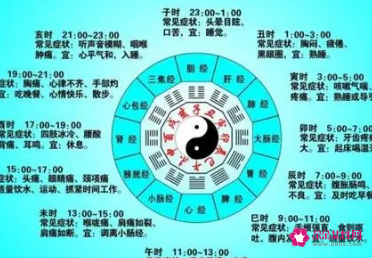 二十四时辰排毒时间