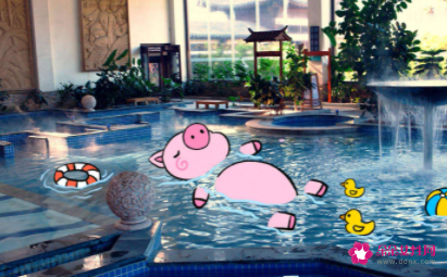 小胖猪学游泳的故事