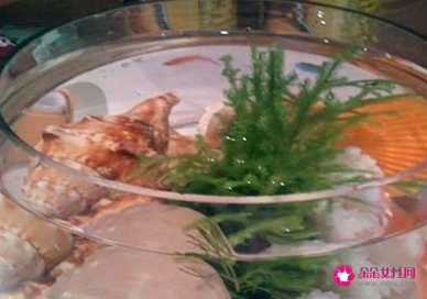 客厅金鱼缸的摆放图片欣赏