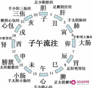 二十四时辰排毒时间