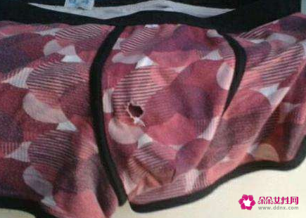 梦见女人把她内裤给我是什么意思