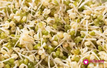 豆芽补充什么营养