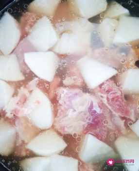 白萝卜用什么煲汤最好