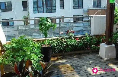 虎年装修之阳台风水