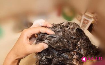 一般头发护理多少钱