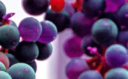 能够为女人美肤的水果