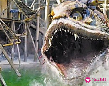 梦见怪鱼吃人是什么意思