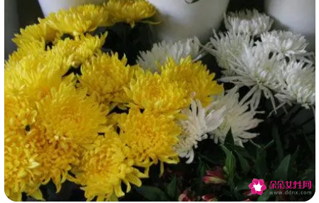 已故老人百日怎么祭奠