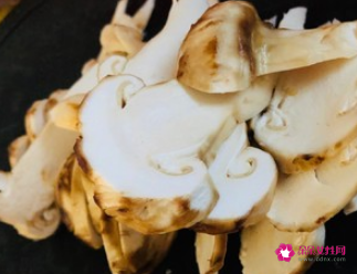 赤松茸汤怎么做好吃