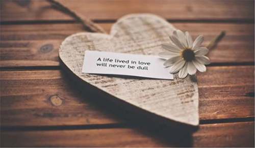 爱情的温暖美文