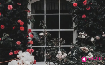 不喜欢失望的感觉