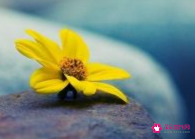 怎么摆正自己对生活的的态度