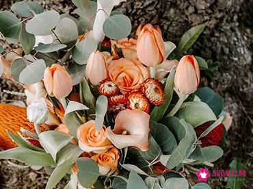 早安撩人情话短一点