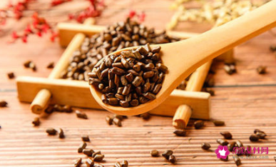 决明子泡水喝的6个害处