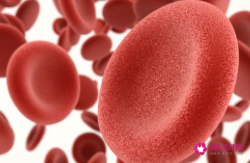 蛋白低有什么症状吃什么药