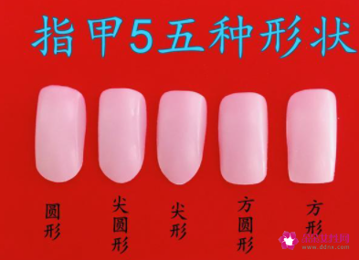 指甲难看的类型图片