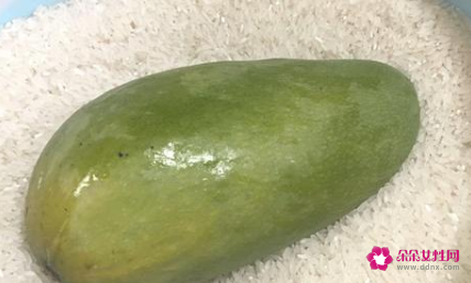 青芒咋看熟没熟