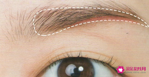 哪种眉型有福气