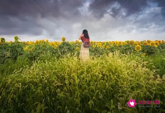 好听又有魅力的昵称女生