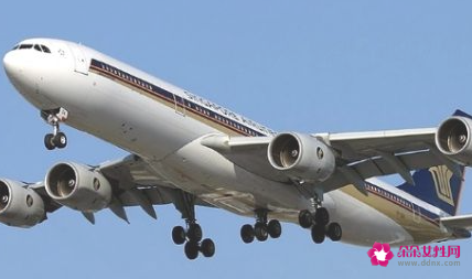 空姐的职业要求有哪些