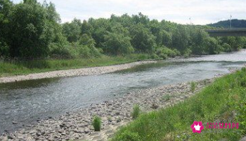 梦见河道变宽寓意