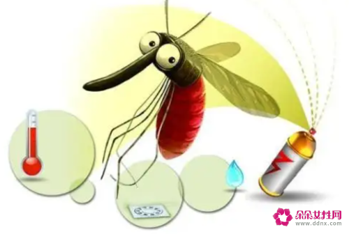 蚊子除了蚊香还怕什么