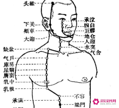 人体的各个经络名称