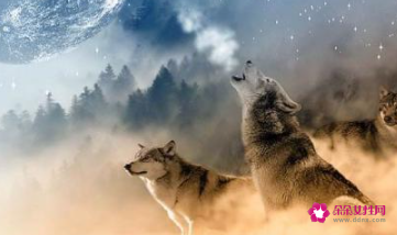 真正有野心的人特点