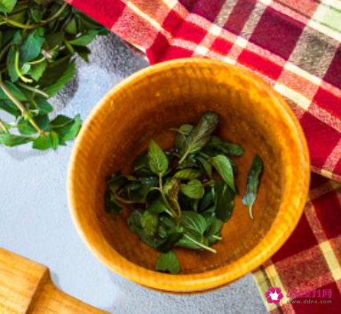 野枸杞芽茶的功效与作用