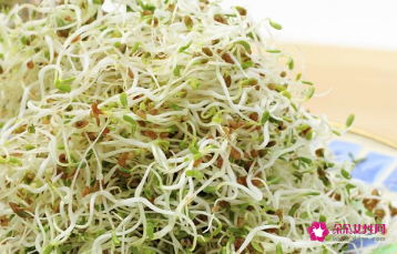 豆芽补充什么营养