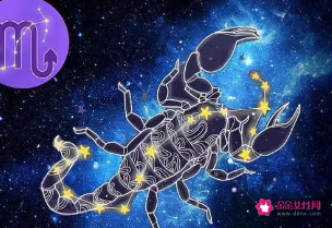 天蝎女适合什么职业