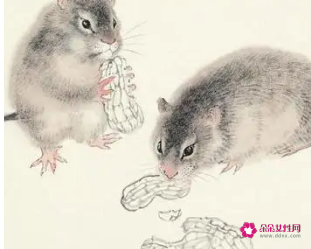 属鼠人床头朝哪最旺财