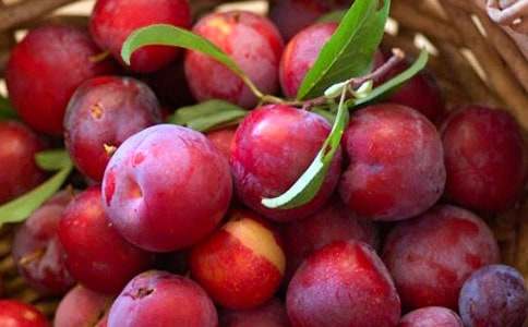 梦见李子树有什么寓意